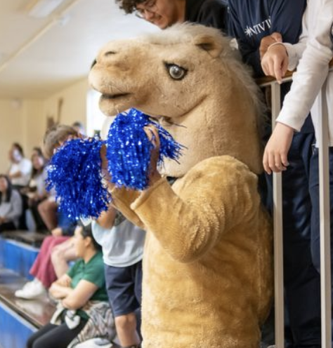 Screenshot 2025-11-15 at 10.43.32 AM.png