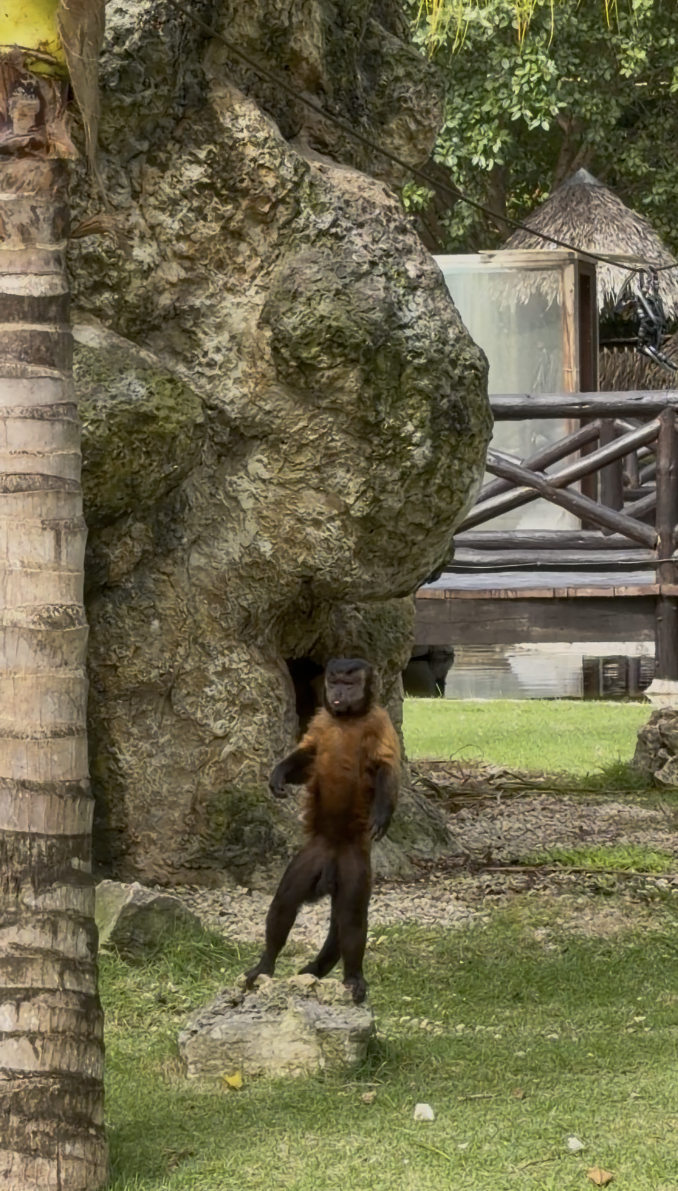 View recent photos 10.png