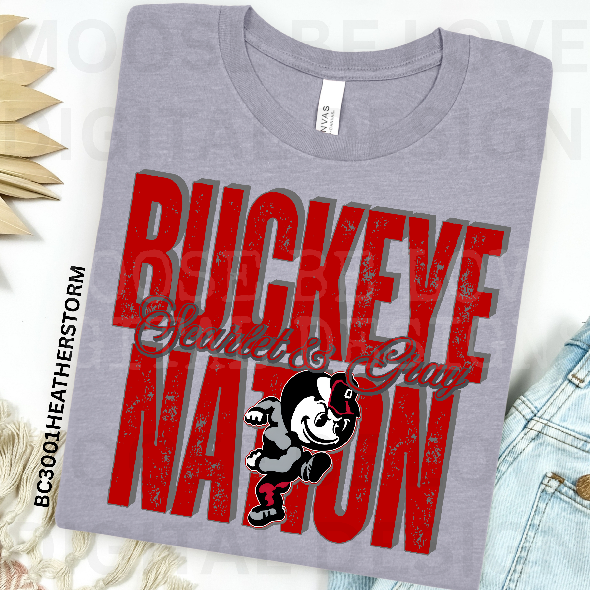 BUCKEYE NATION SCARLET AND GRAY BUNDLE
