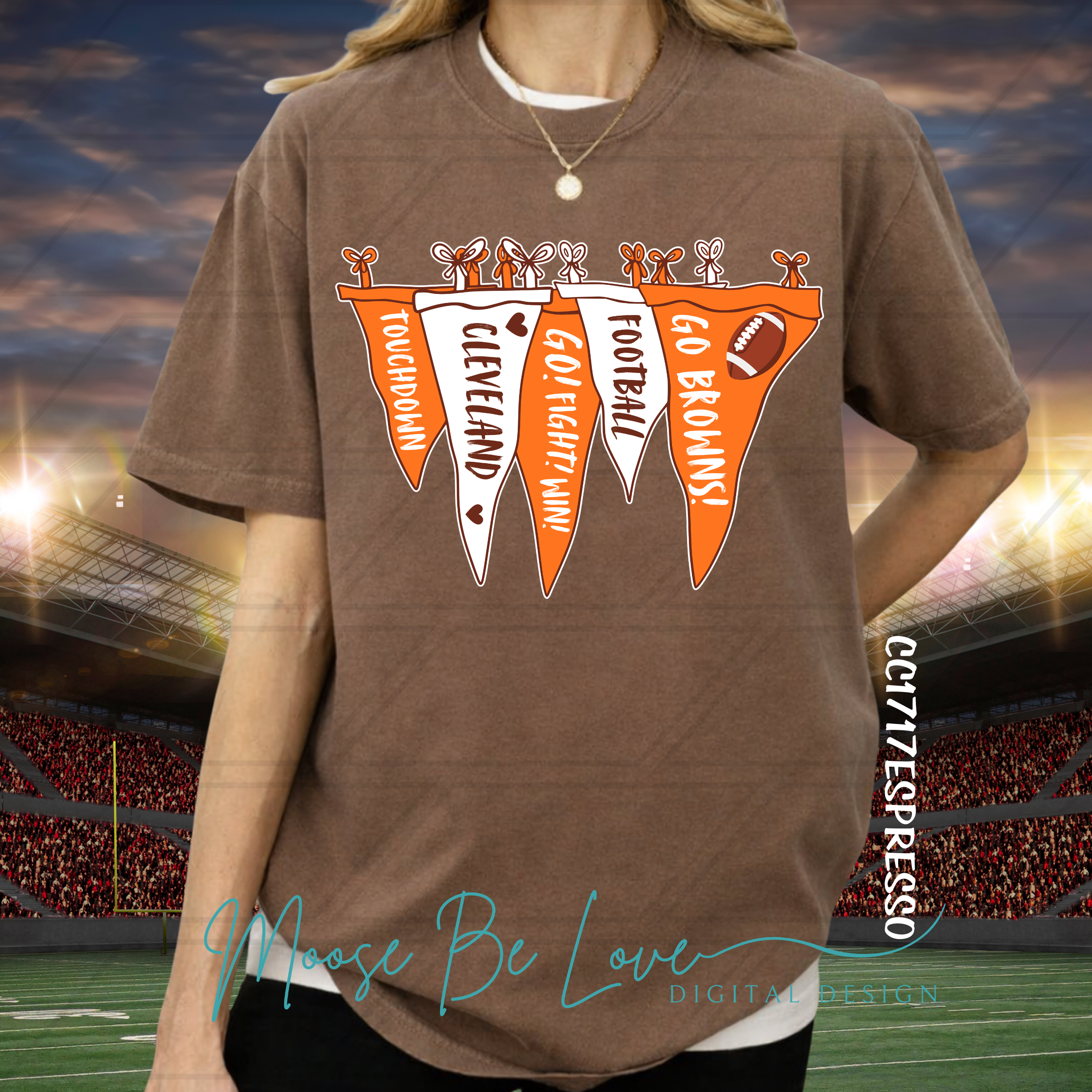 BROWNS FOOTBALL SIMPLE HANGING PENNANT BUNDLE