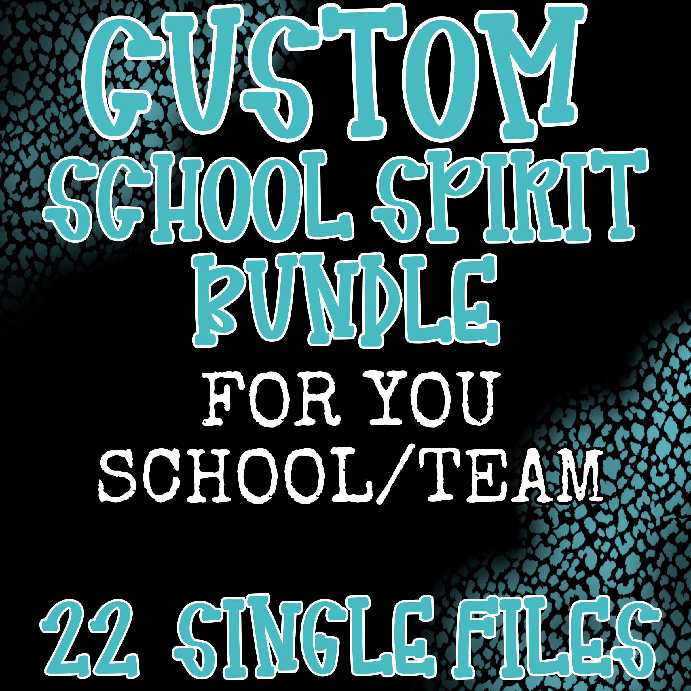 22 CUSTOM SINGLE FILE LOCAL SCHOOL CUSTOM REQUEST**