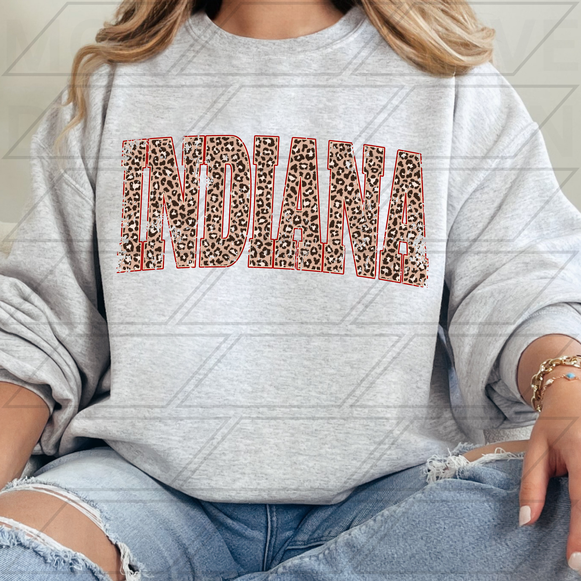 INDIANA VINTAGE LEOPARD ARCH PNG