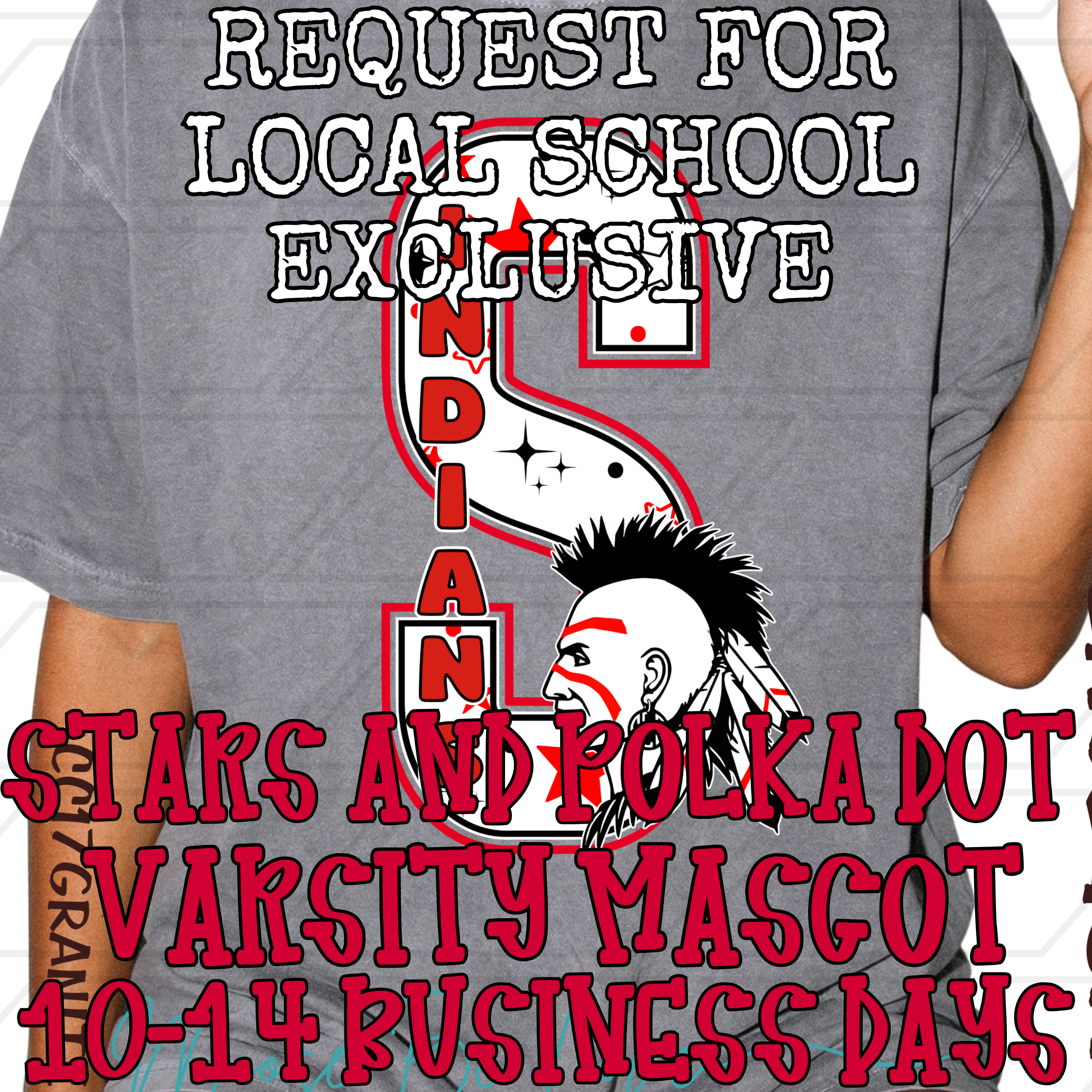 CUSTOM EXCLUSIVE LOCAL SCHOOL REQUEST STARS AND POLKA DOT VARSITY MASCOT DESIGN**10-14 BUSINESS DAY TAT