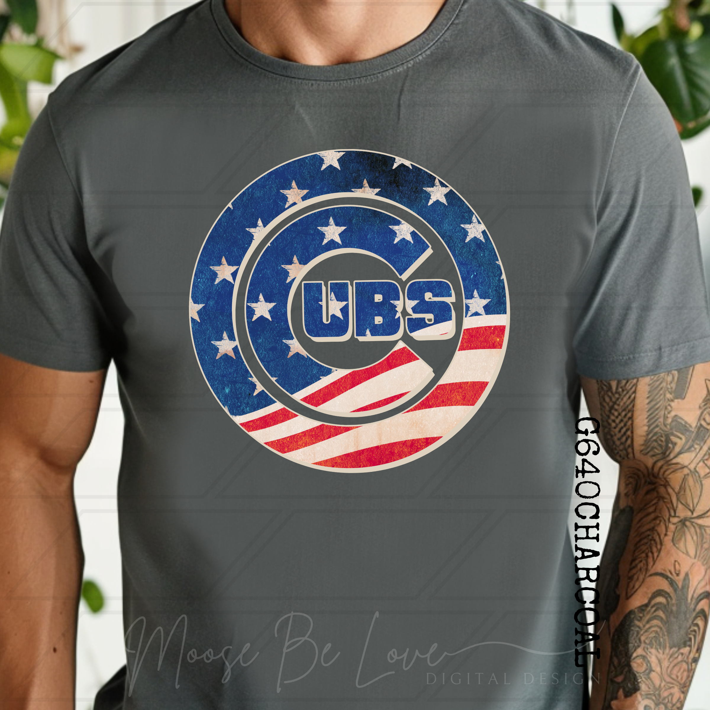 CUBS AMERICAN FLAG LOGO PNG