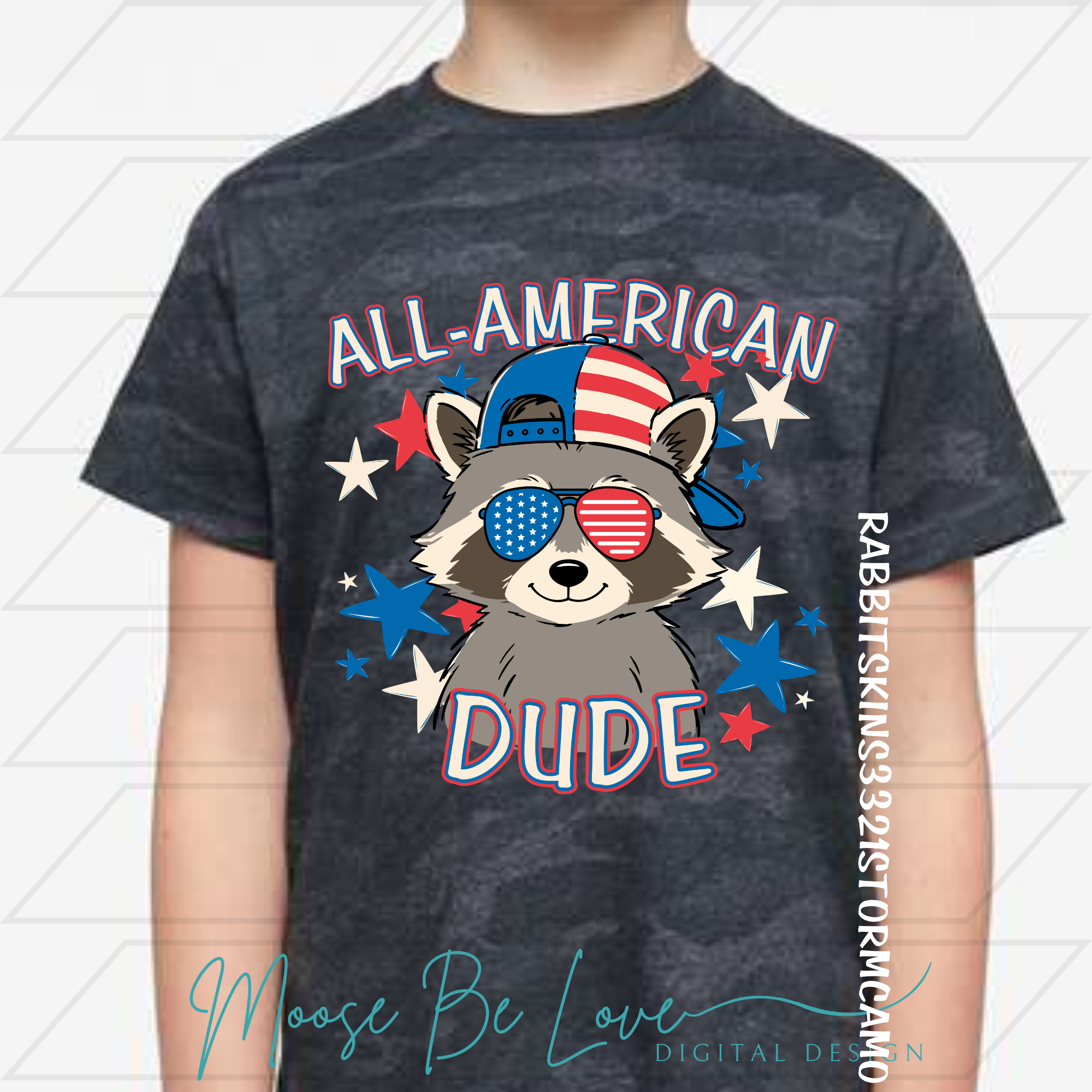 ALL-AMERICAN DUDE RACCOON PNG