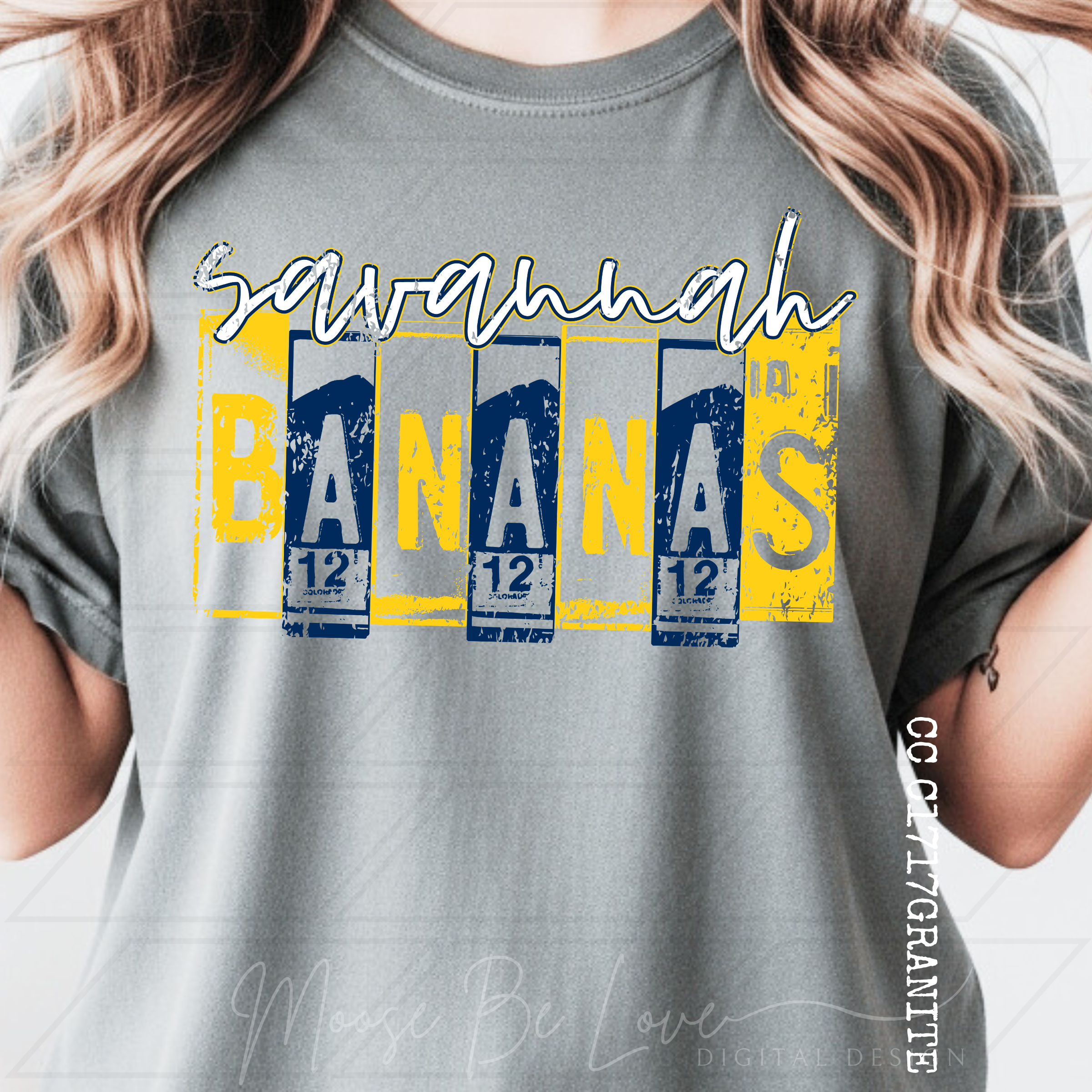 BANANAS DISTRESSED LICENSE PLATE BUNDLE