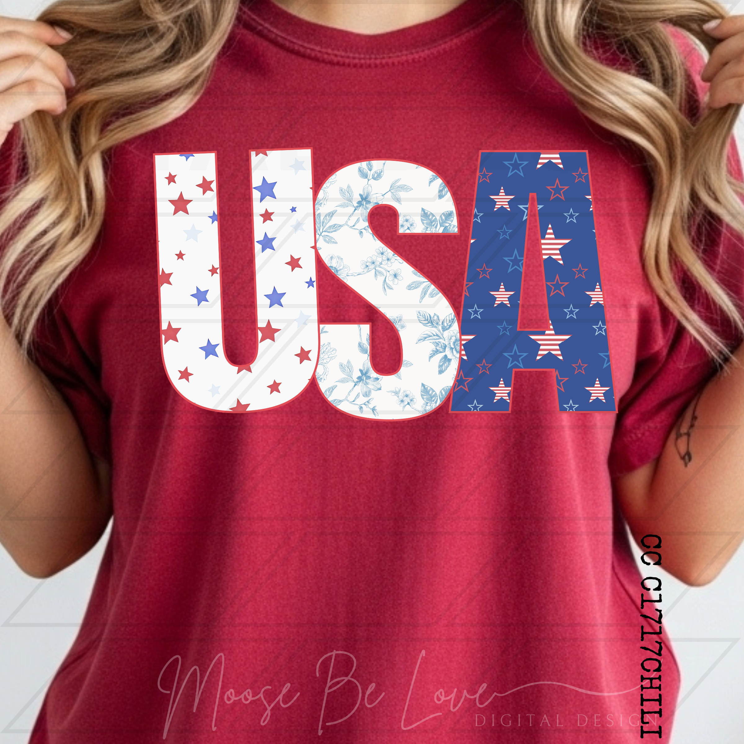 USA STARS & TOILE PNG