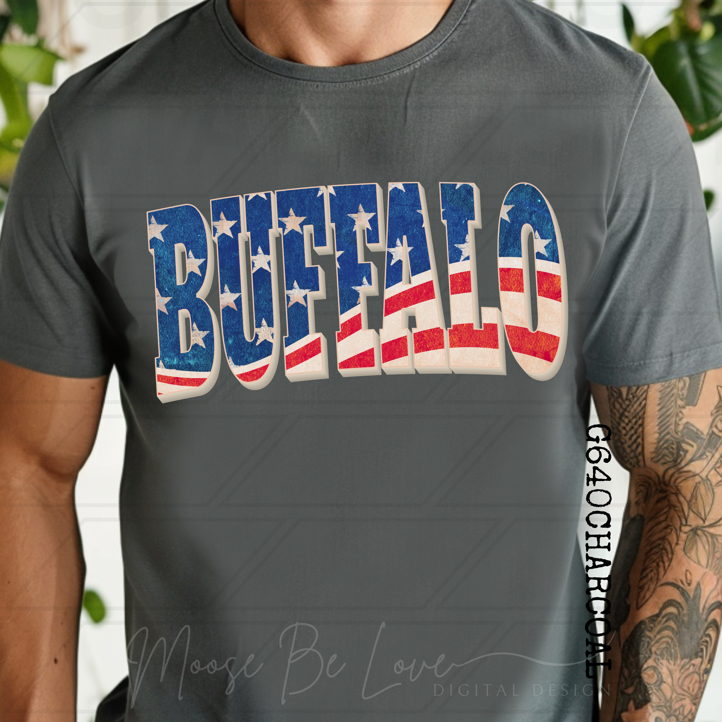BUFFALO VINTAGE AMERICAN FLAG ARCH PNG