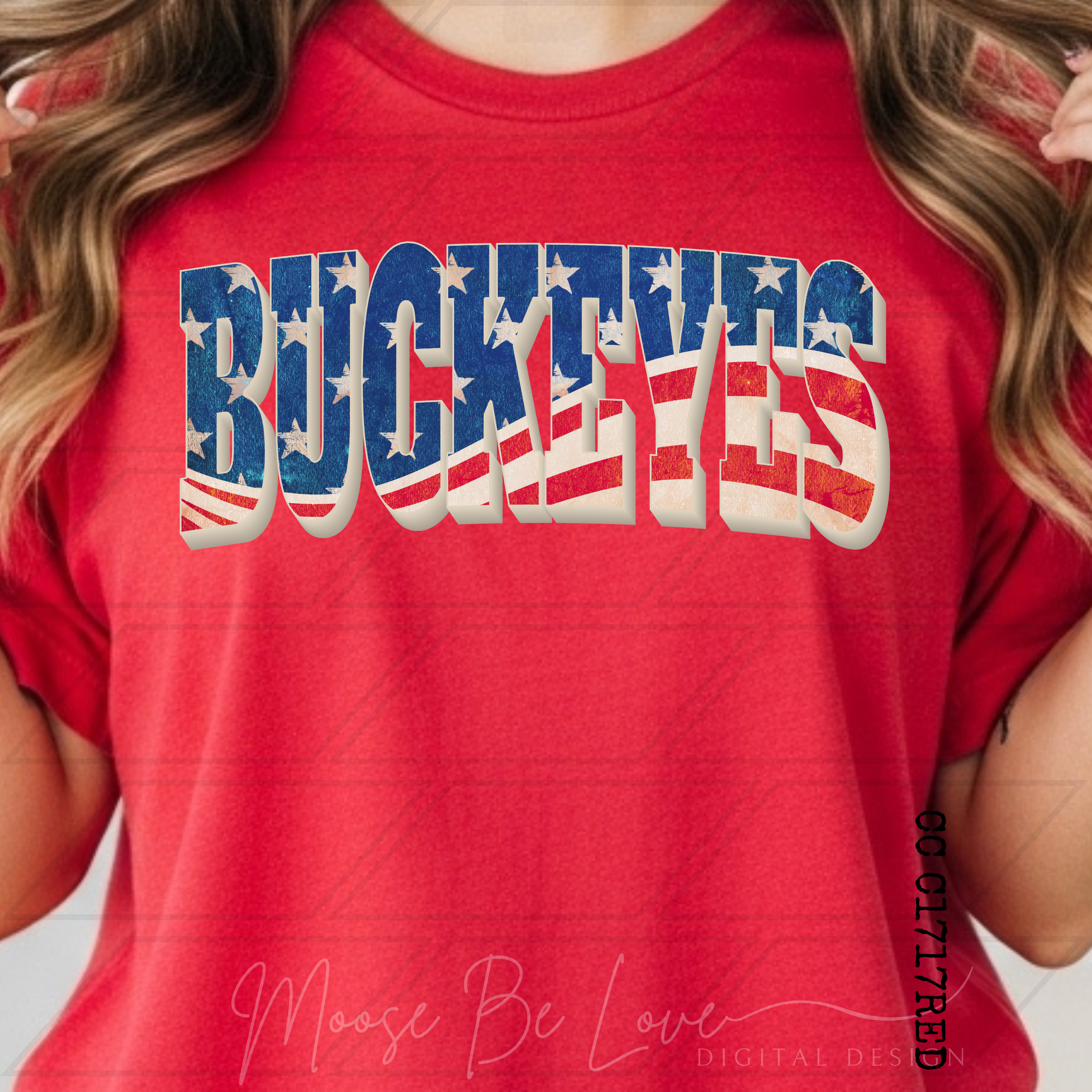 BUCKEYES VINTAGE AMERICAN FLAG ARCH PNG