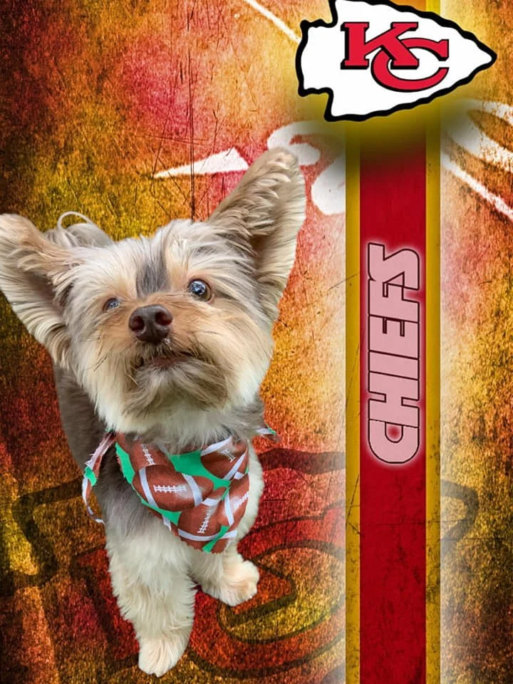 Super Bowl.jpg
