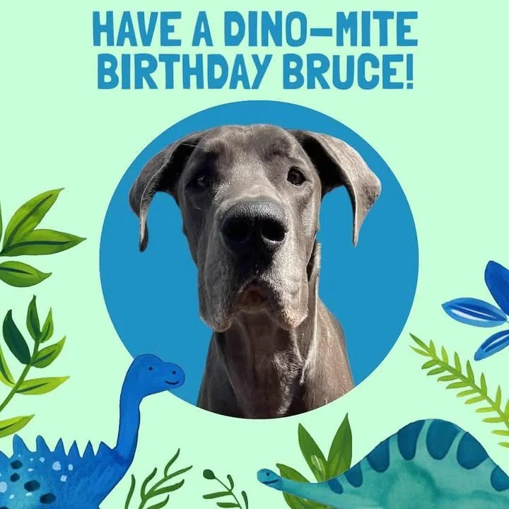 Bruce birthday.jpg