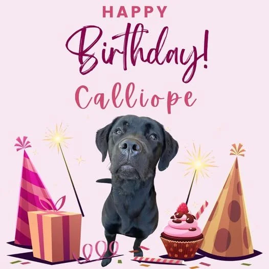 Calliope birthday.jpg