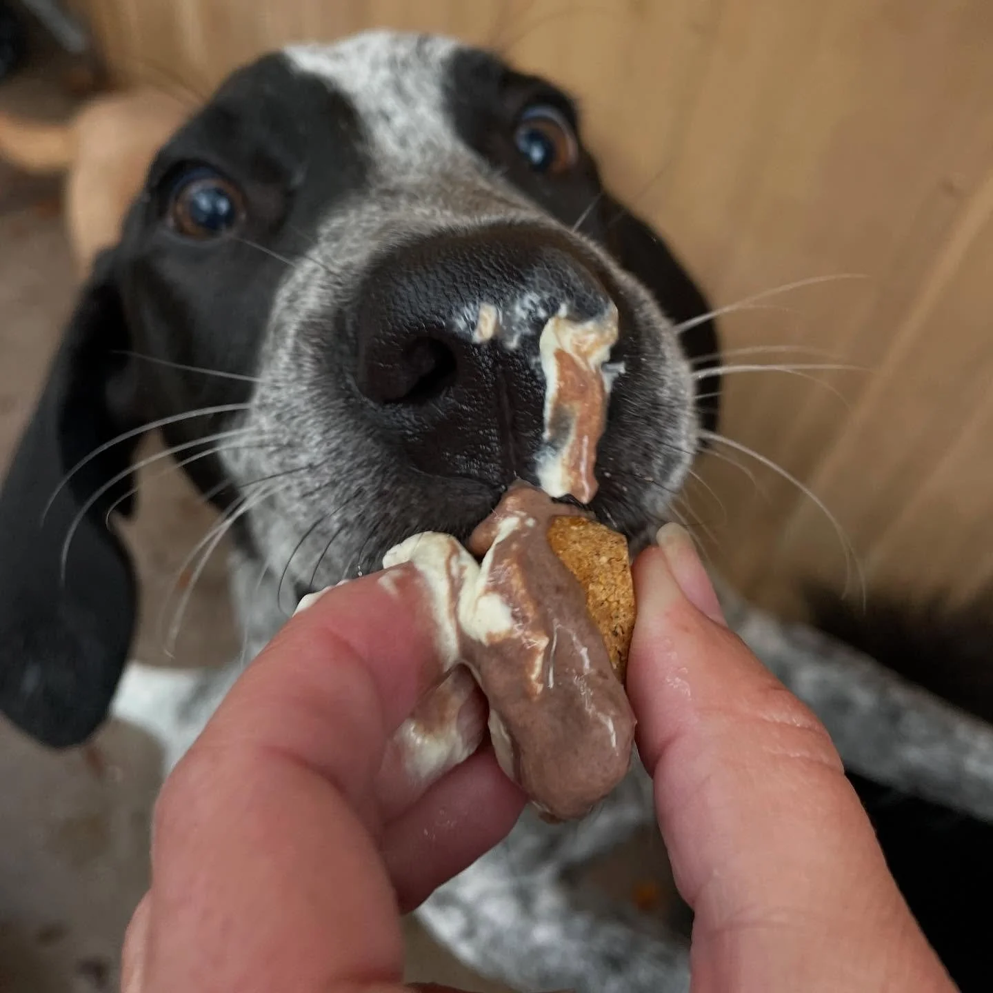 Reuben smore.jpg
