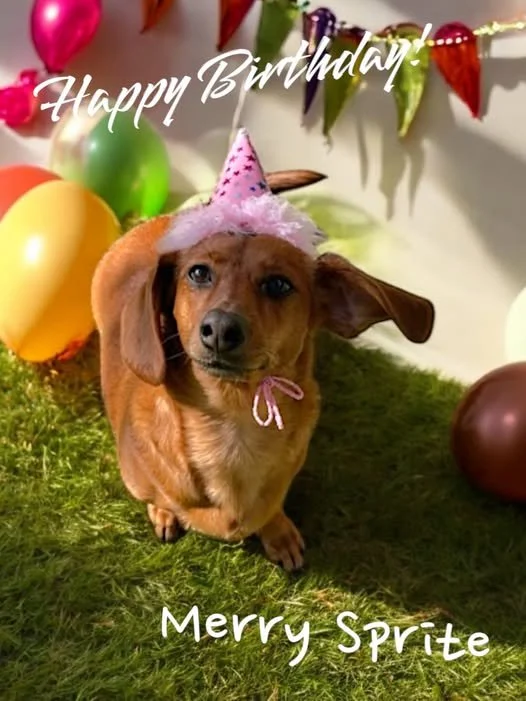 Merry Sprite birthday.jpg