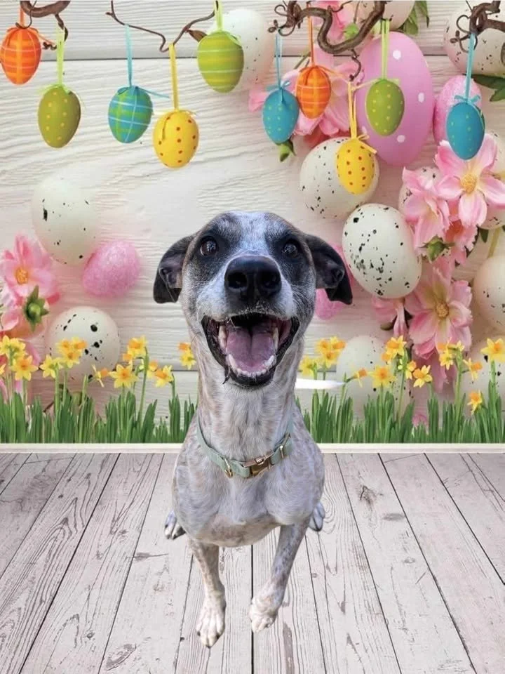 Finnely easter.jpg