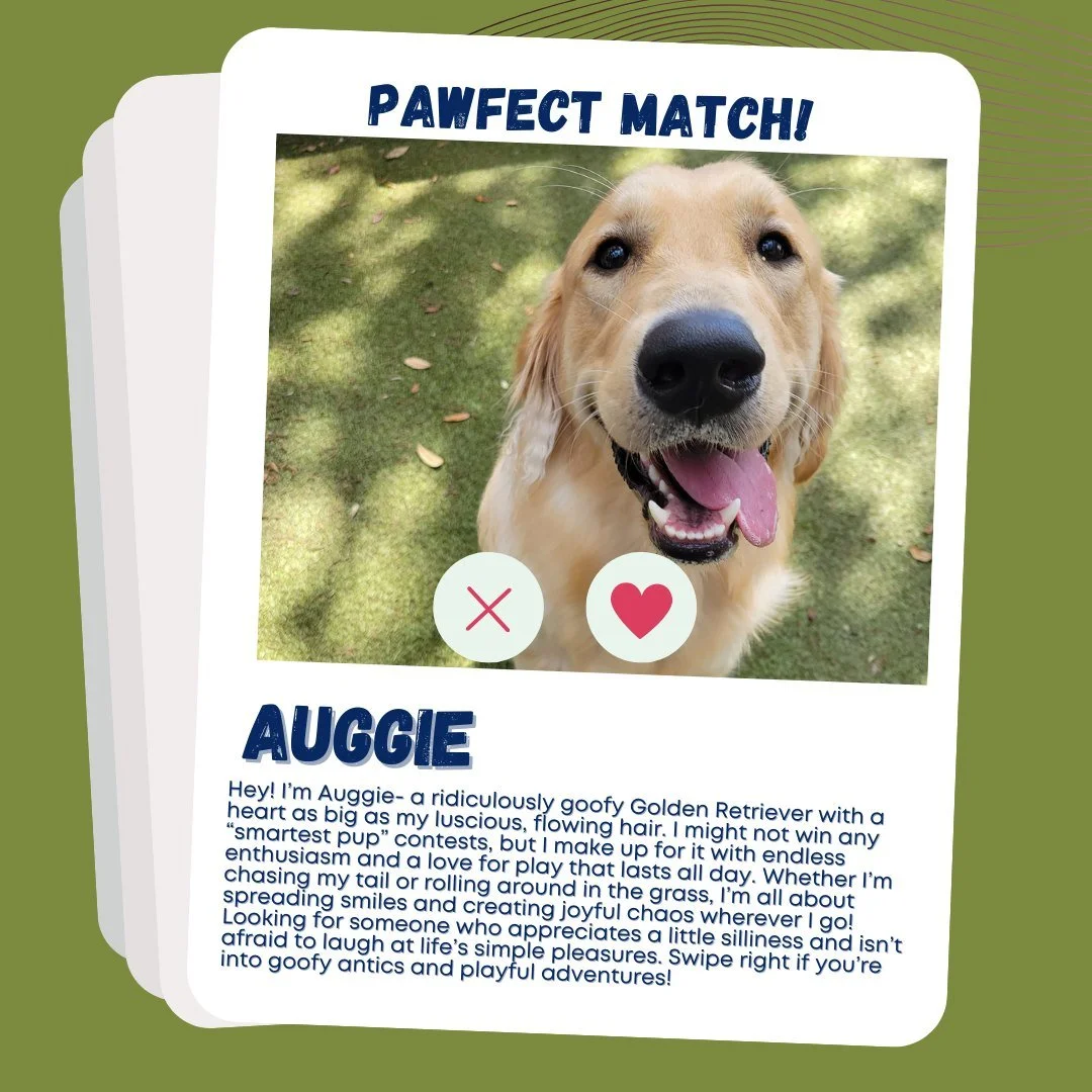 Pawfect match.jpg