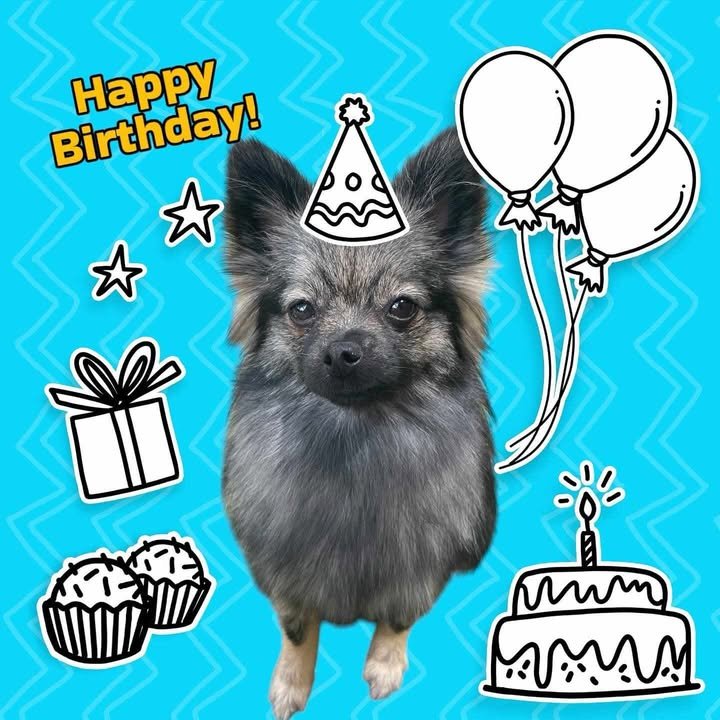 Violet birthday.jpg