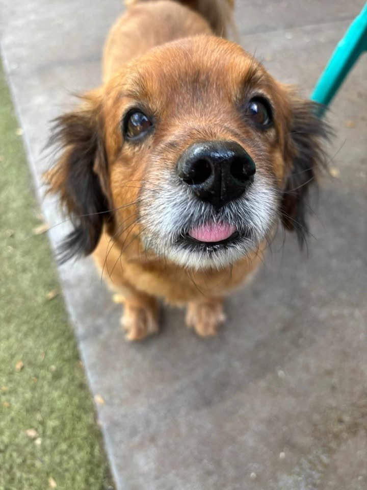 Crash.jpg