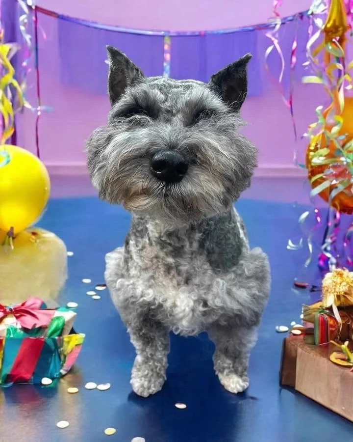 Pepper birthday.jpg