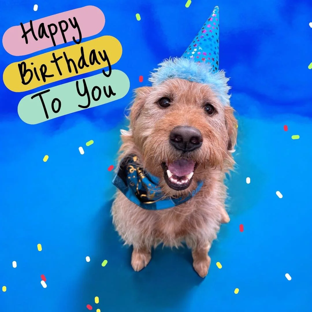 Kevin birthday.jpg