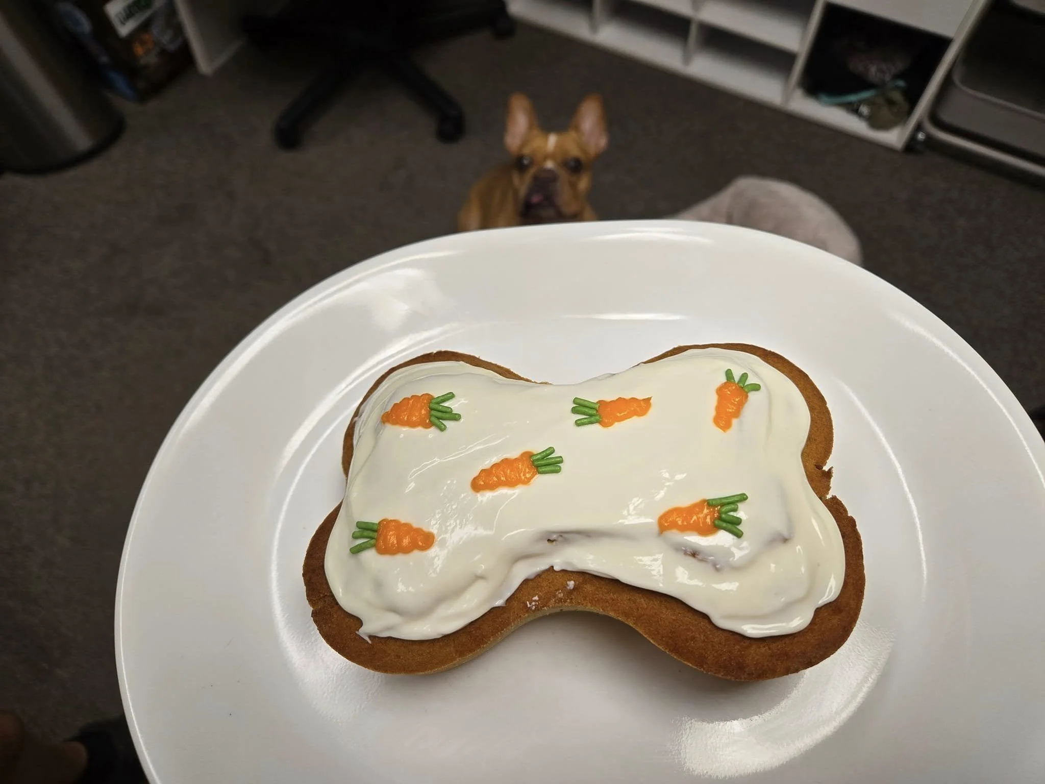 Carrot cake.jpg