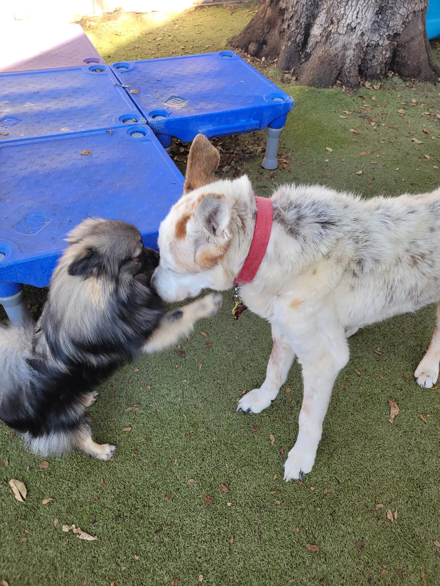 Violet and Eddie.jpg