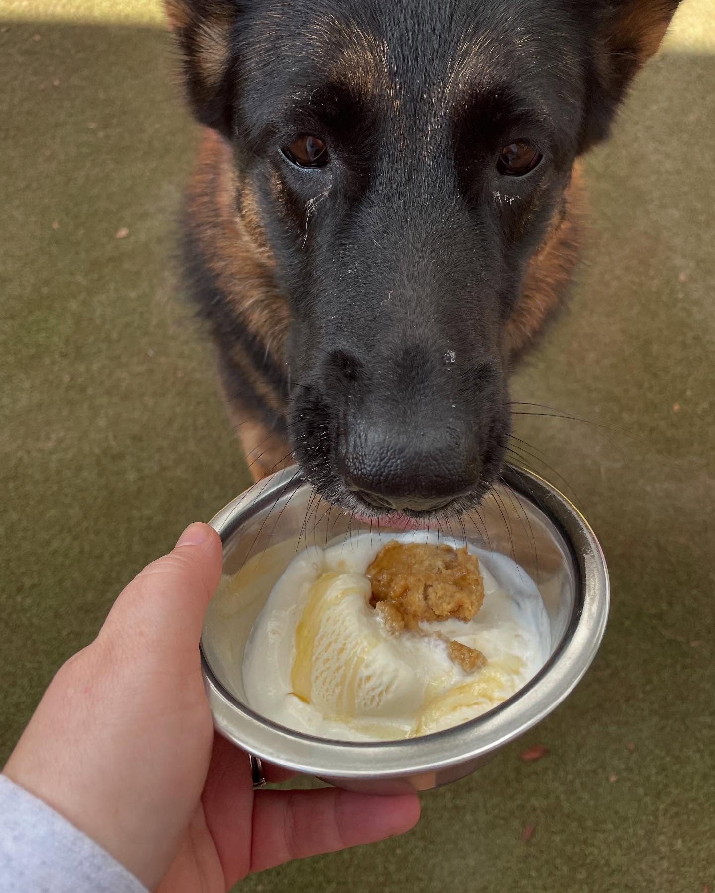 Lucy frozen yogurt.jpg