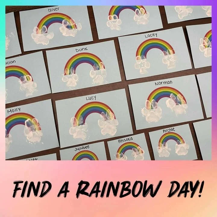 Rainbow.jpg