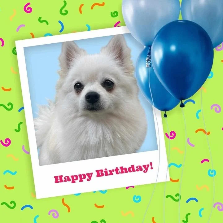 Kim Birthday.jpg