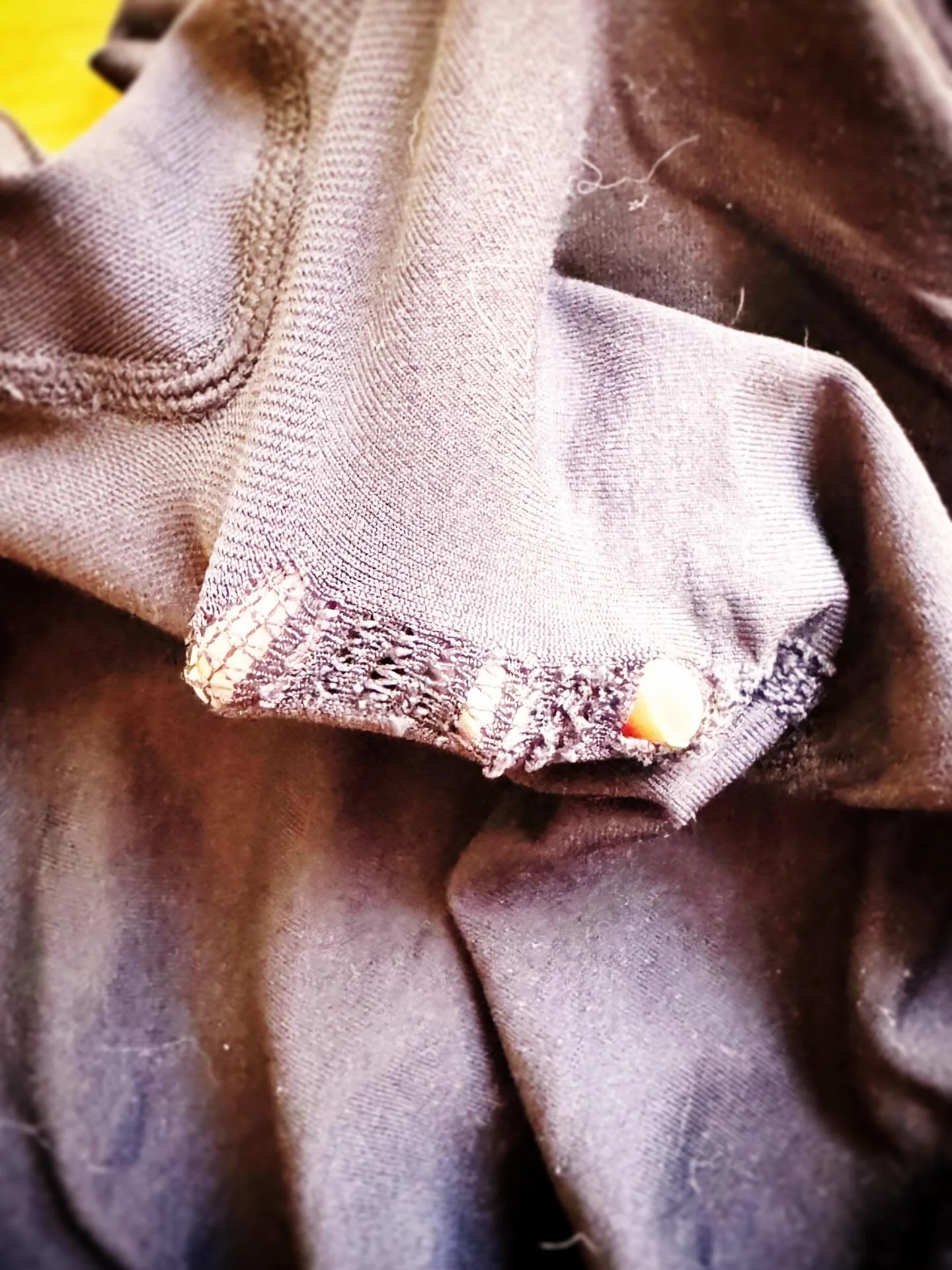 It&rsquo;s a good thing I had another pair of shorts in my gym bag! Heavy lifting on the leg press blew out my butt scrunch! 😂😂😂

All in a days work at the gym! ❤️💪🔥⭐️❤️

@devbowman, @fitiquity, #bootyscrunchblowout, #boomboomshaketheroom, #chan