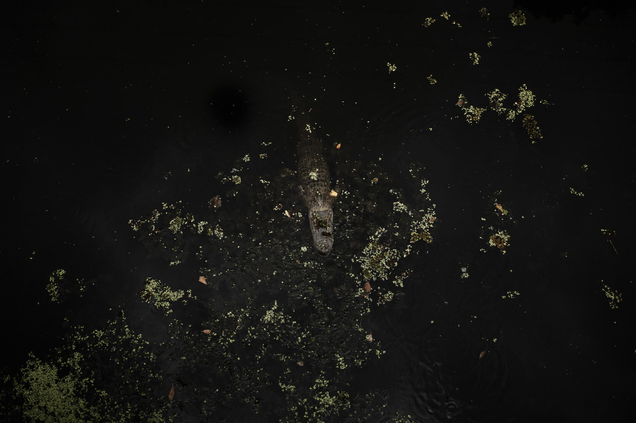 Bildschirmfoto 2023-02-26 um 20.45.43.png