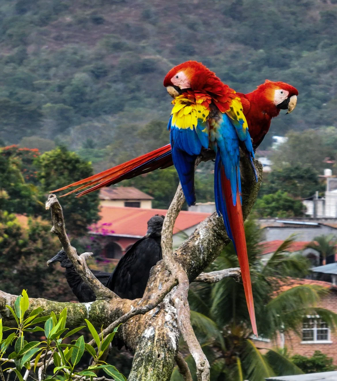 First Impressions of Honduras