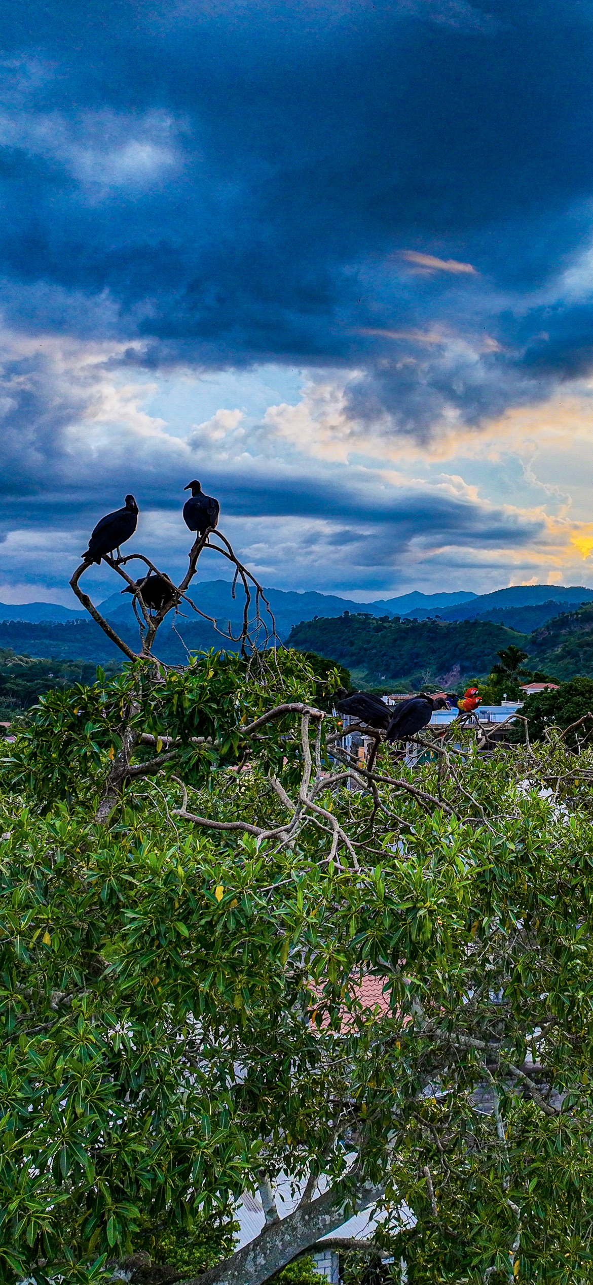 Honduras: More Than Violent Headlines