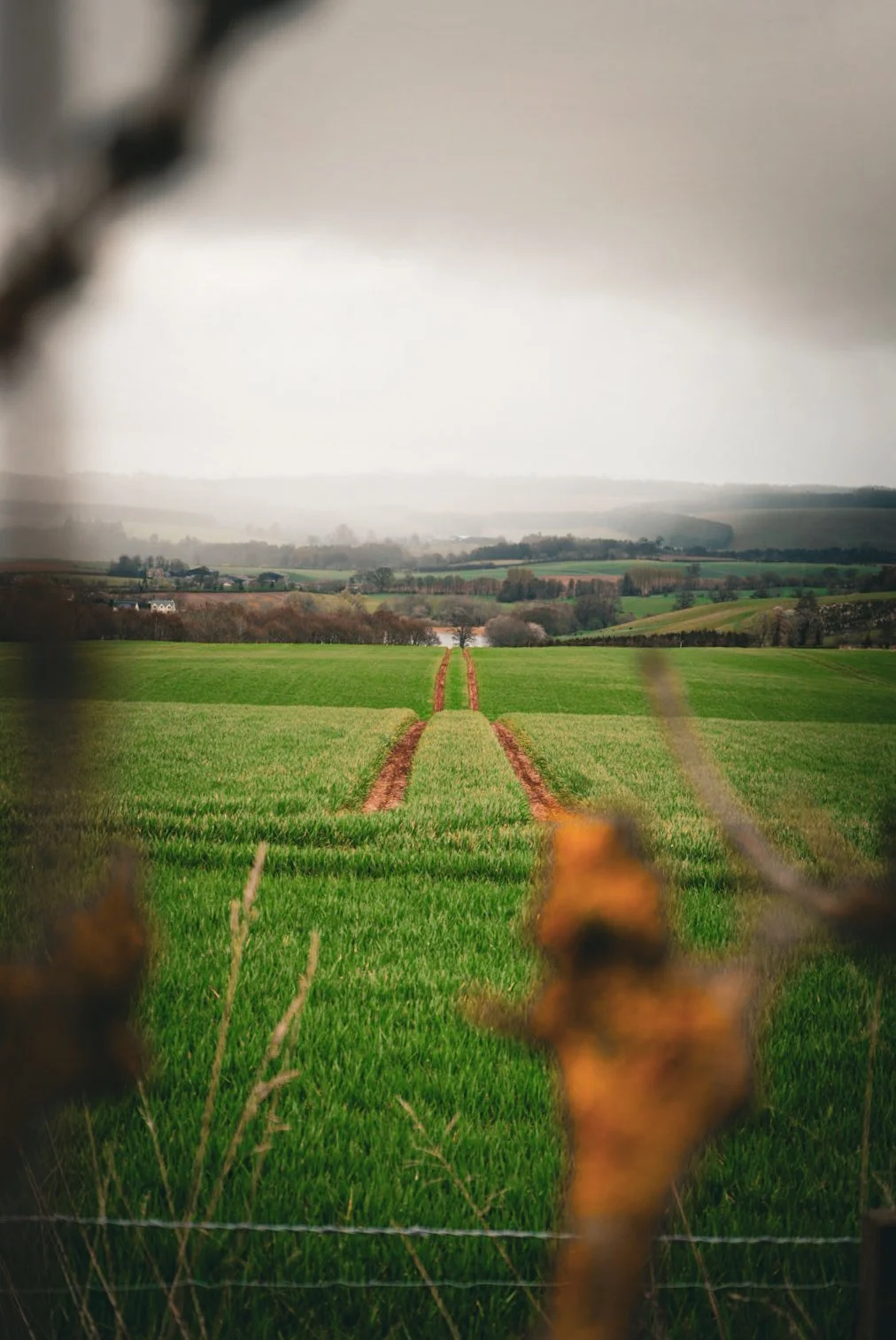Saint Cuthbert’s Way: A British Pilgrimage Trek through the Boarders 