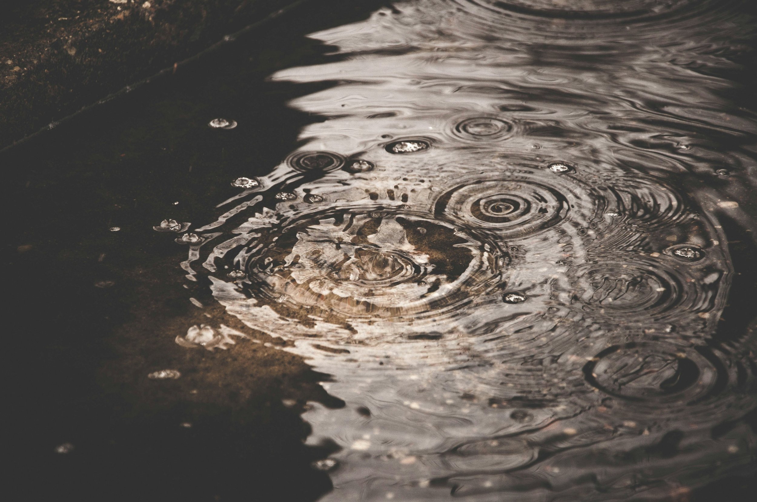Understanding Adverse Childhood Experiences: Long-Term Effects on How You Work and Lead