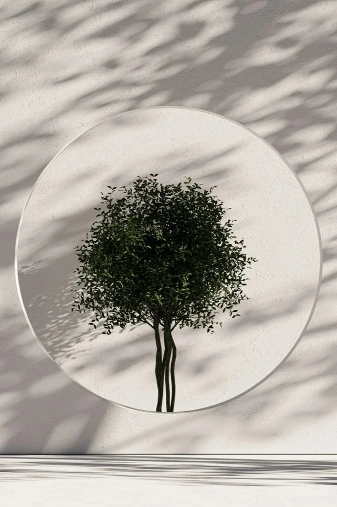 The Impact of Trauma on Your Body, Your Sense of Self, and Your Relationships