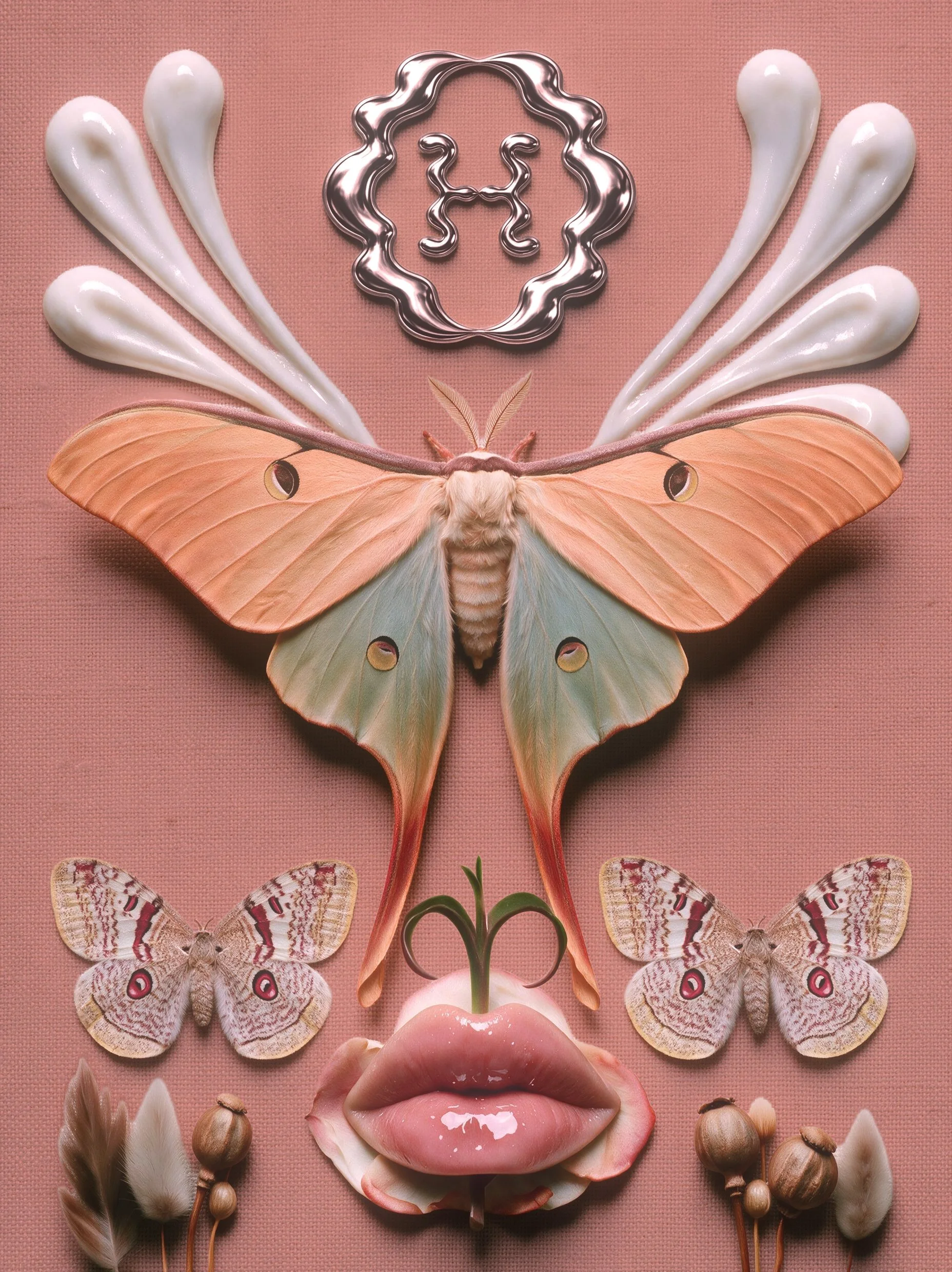 OH_mothbutterflyA.jpg