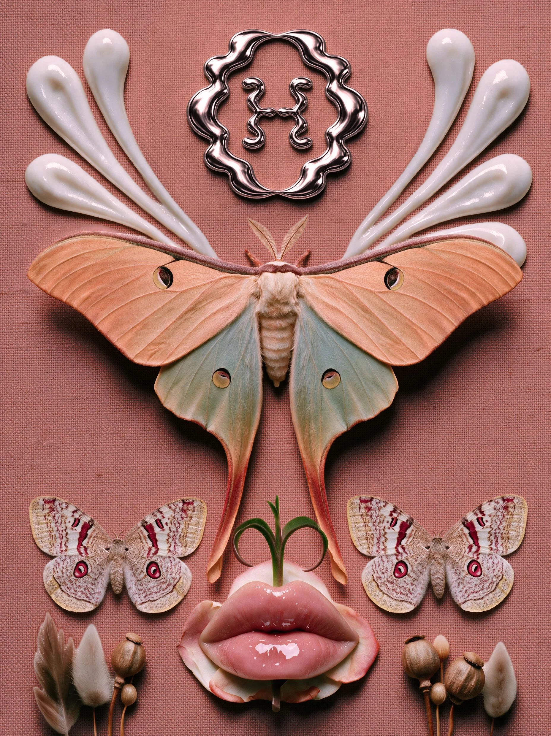 OH_logo_mothButterfly_C.jpg