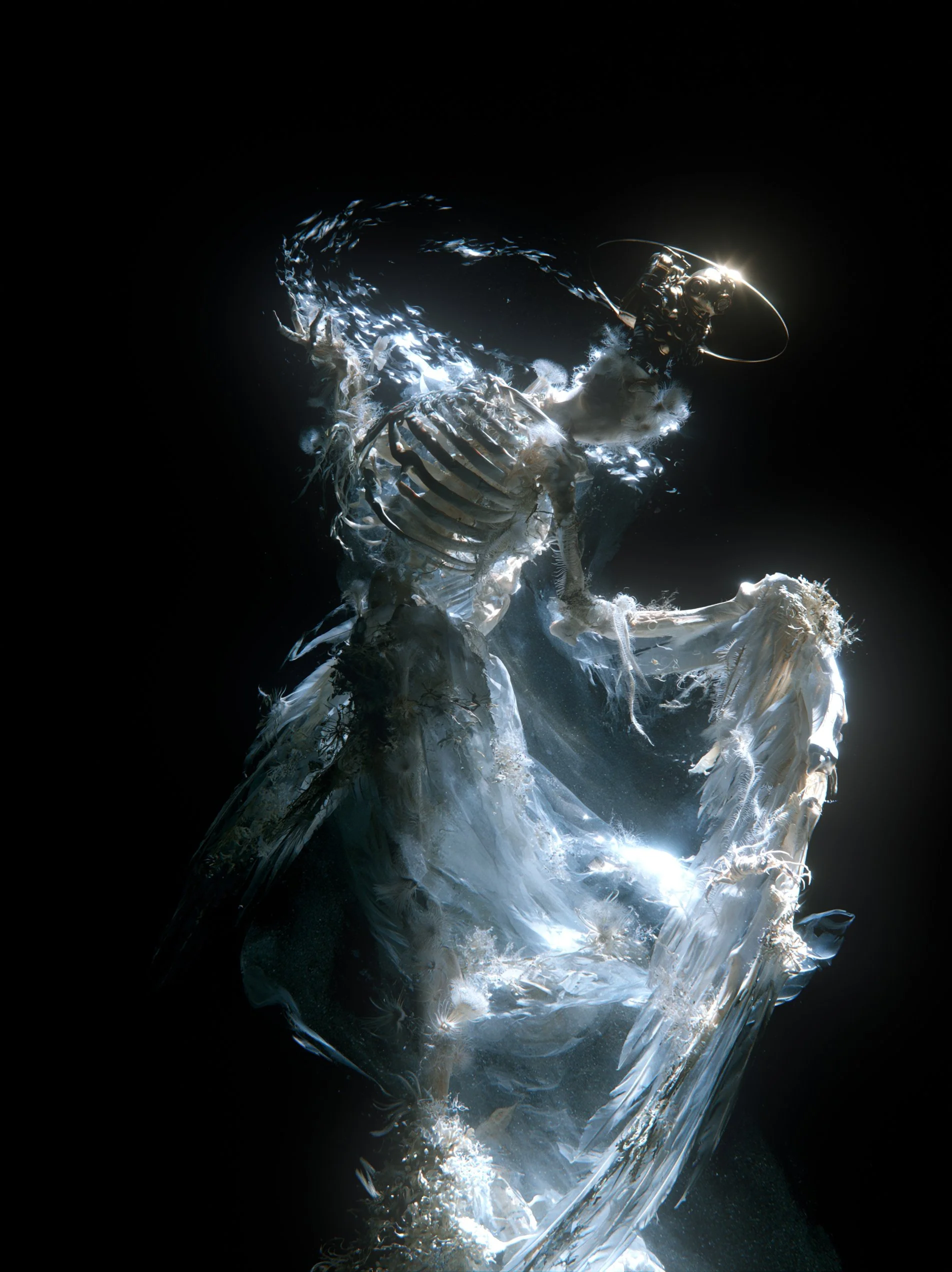 whalefall_A.jpg