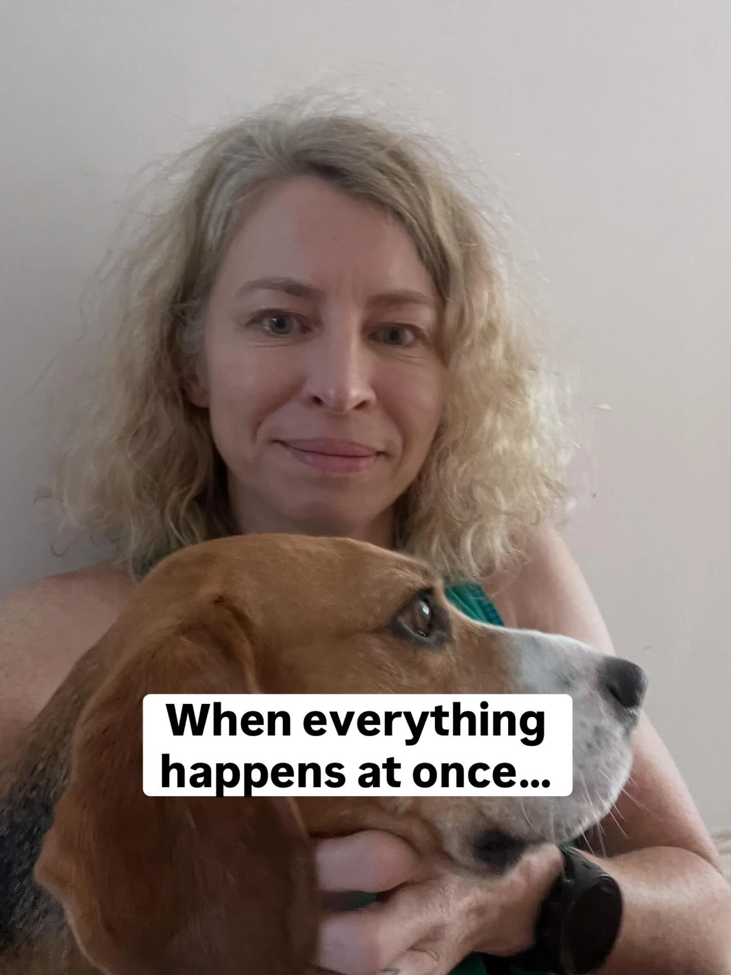 The last couple of weeks have felt&hellip; a lot.

A claw to the eyeball from my beagle (unintentional but painful). 

Followed by a trip to hospital to get it checked out (all fine now).

The garden gate fell apart in high winds so had to ensure the