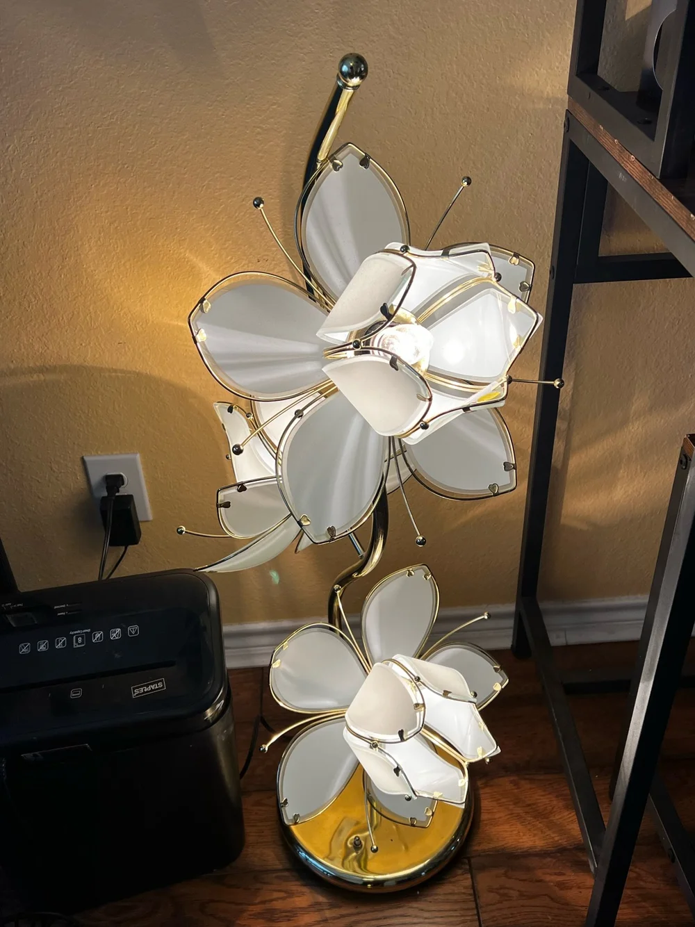 The one that got away