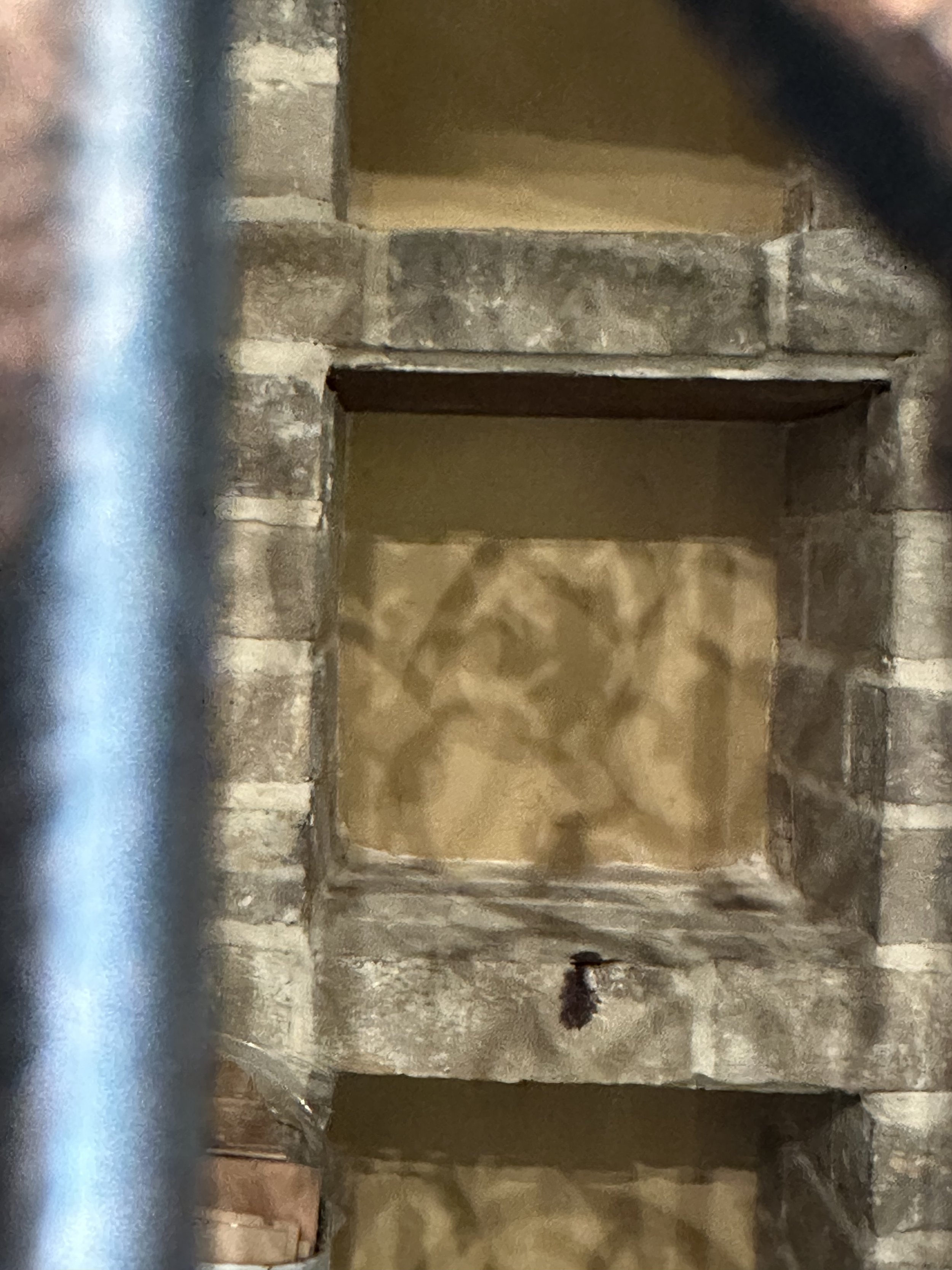 IMG_1120.jpeg