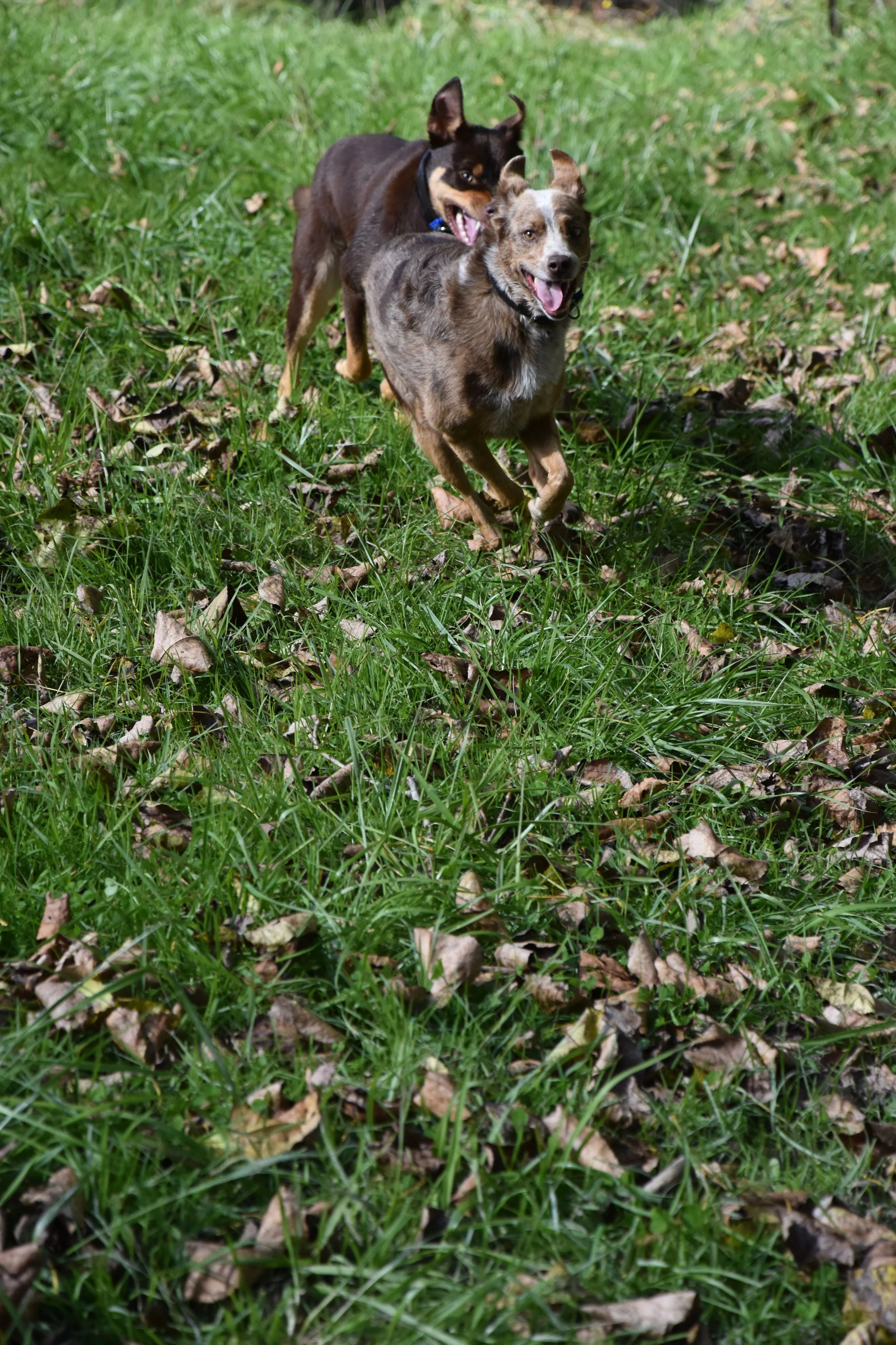 DSC_0067.JPG
