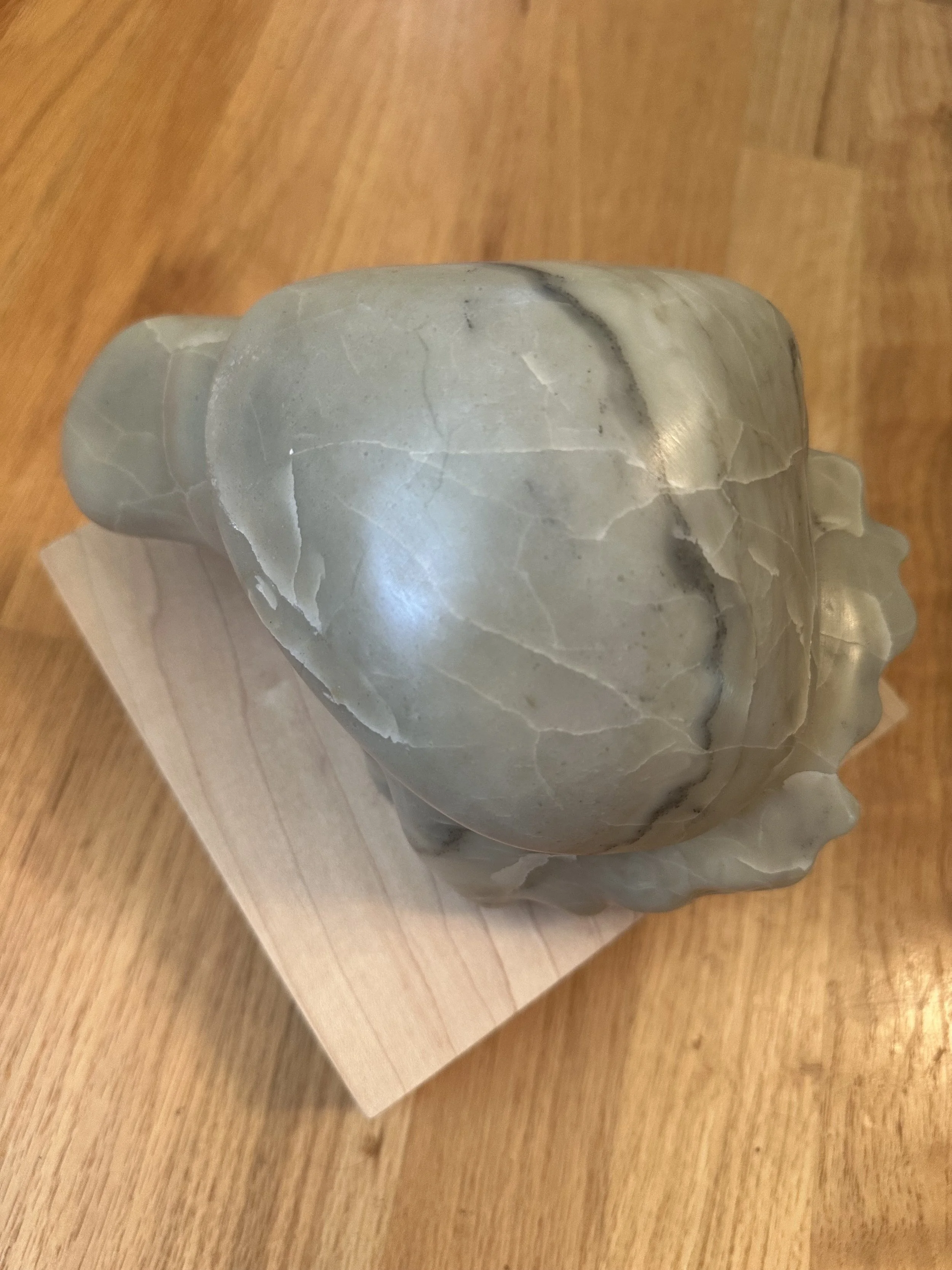 Clam2_2.jpg