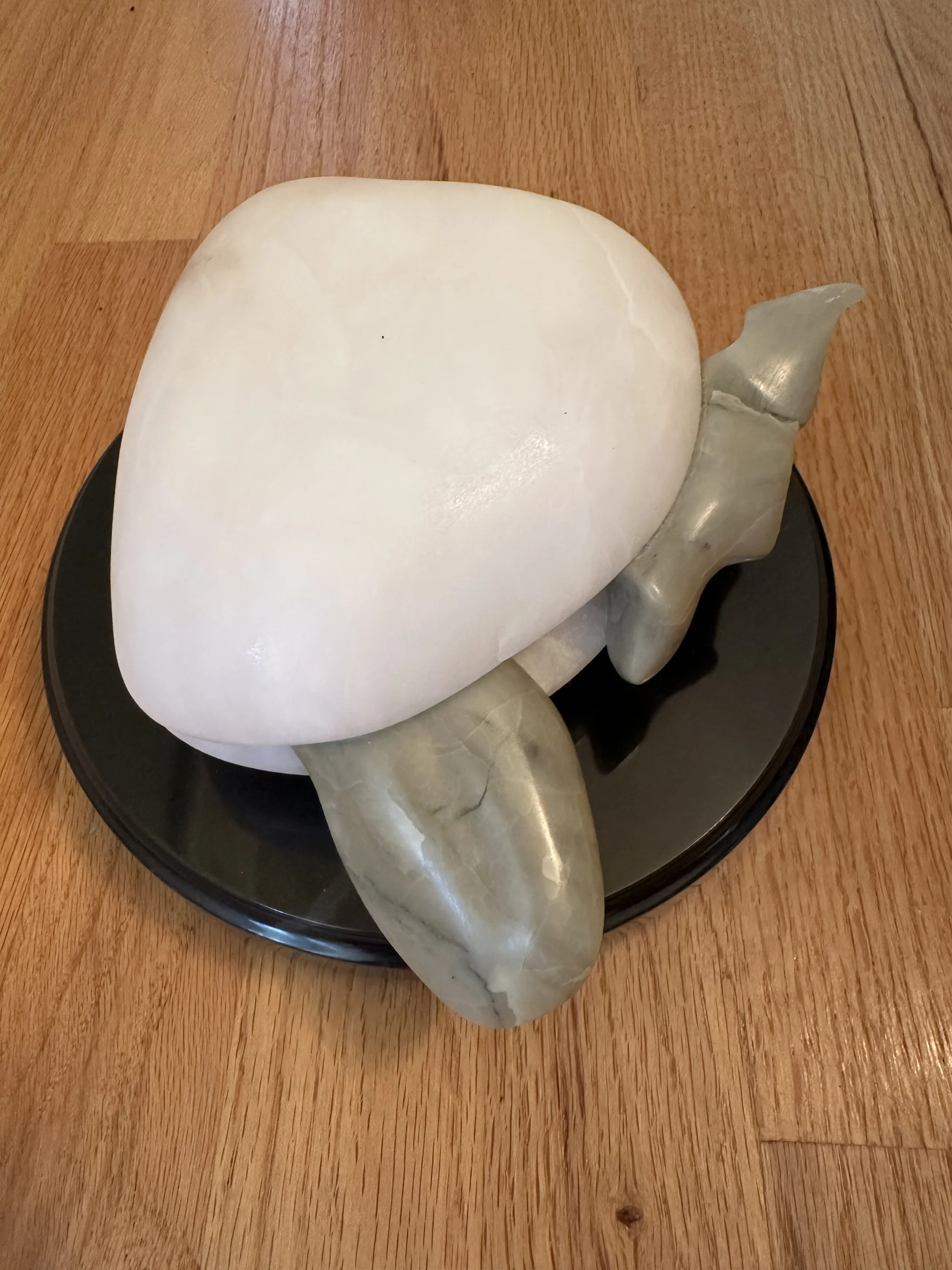 Clam3_2.jpg