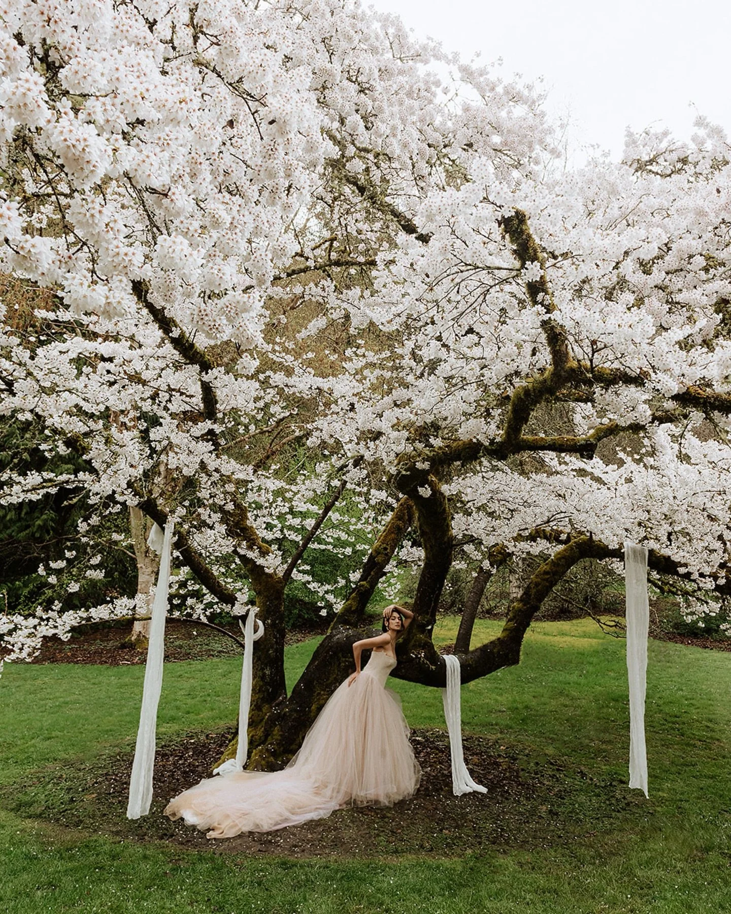🌸Cherry Blossom 🌸 season may technically be over now, but my brain still lives rent free in this editorial I dreamt up from a few years back! 🌸

Dress: @verawangbride 
Dress shop: @nyanza_bridal 
Model: @olessya_ko 
Hair and Make up: @divinetoucho