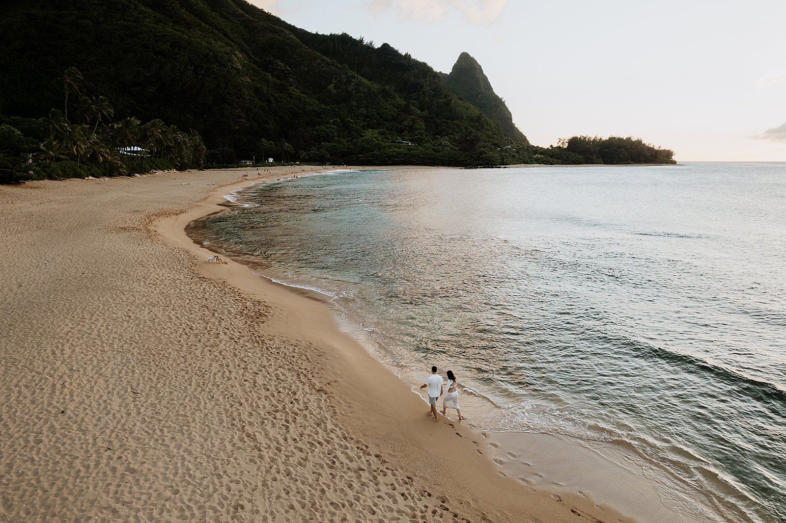 DJI_0198_websize (1).jpg
