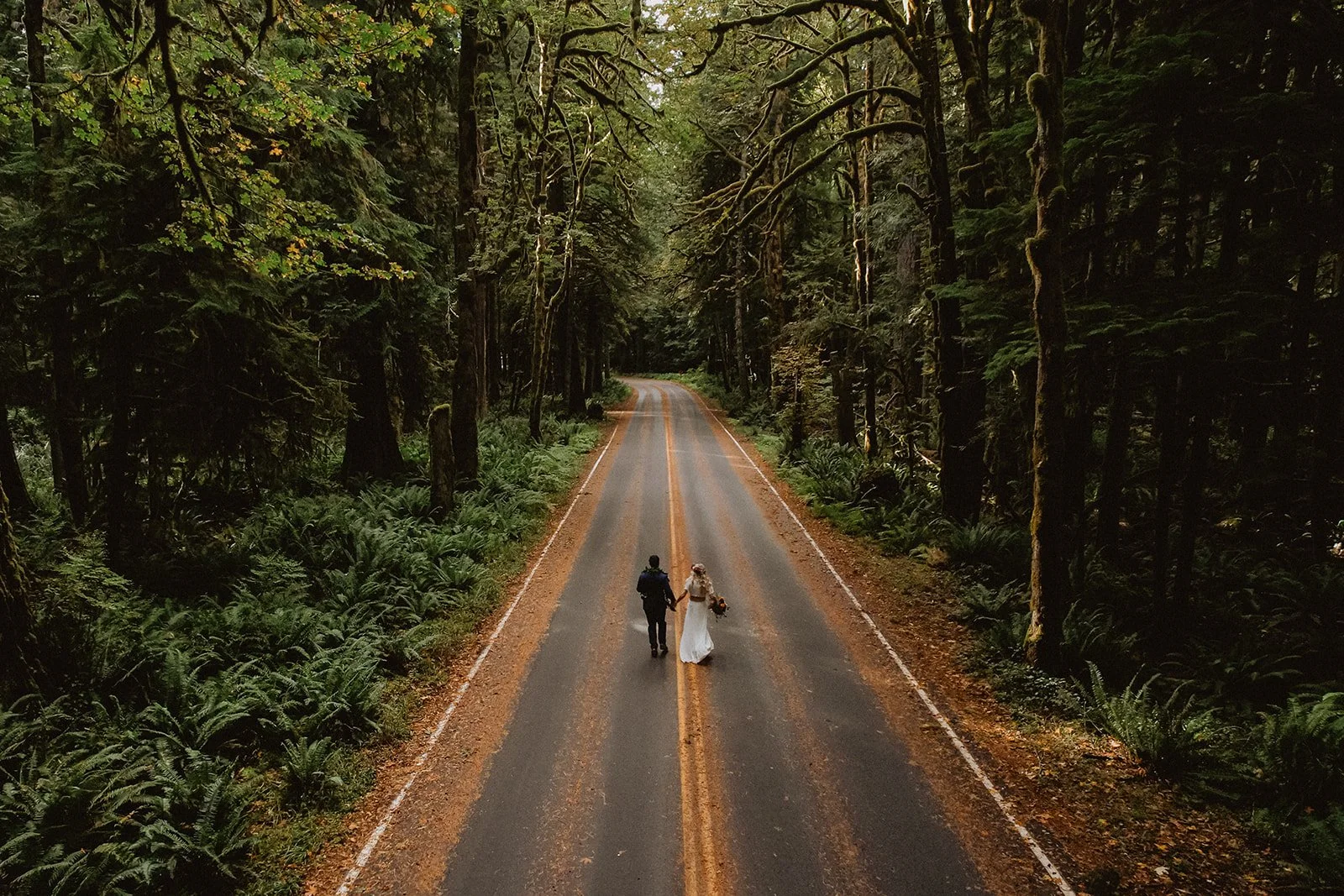 DJI_0255_websize (1).jpg