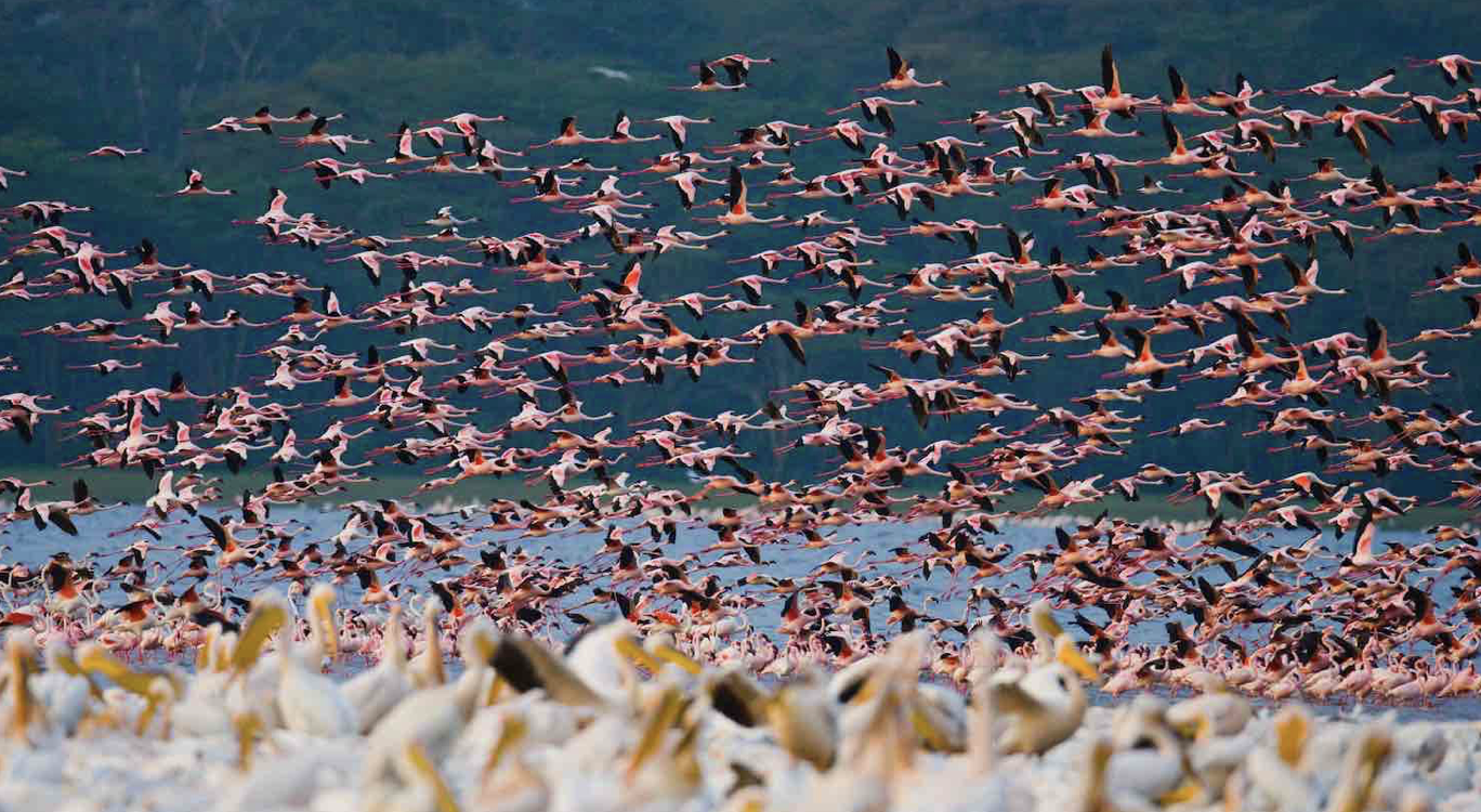 Screenshot 2025-03-31 at 12.04.09 PM.png