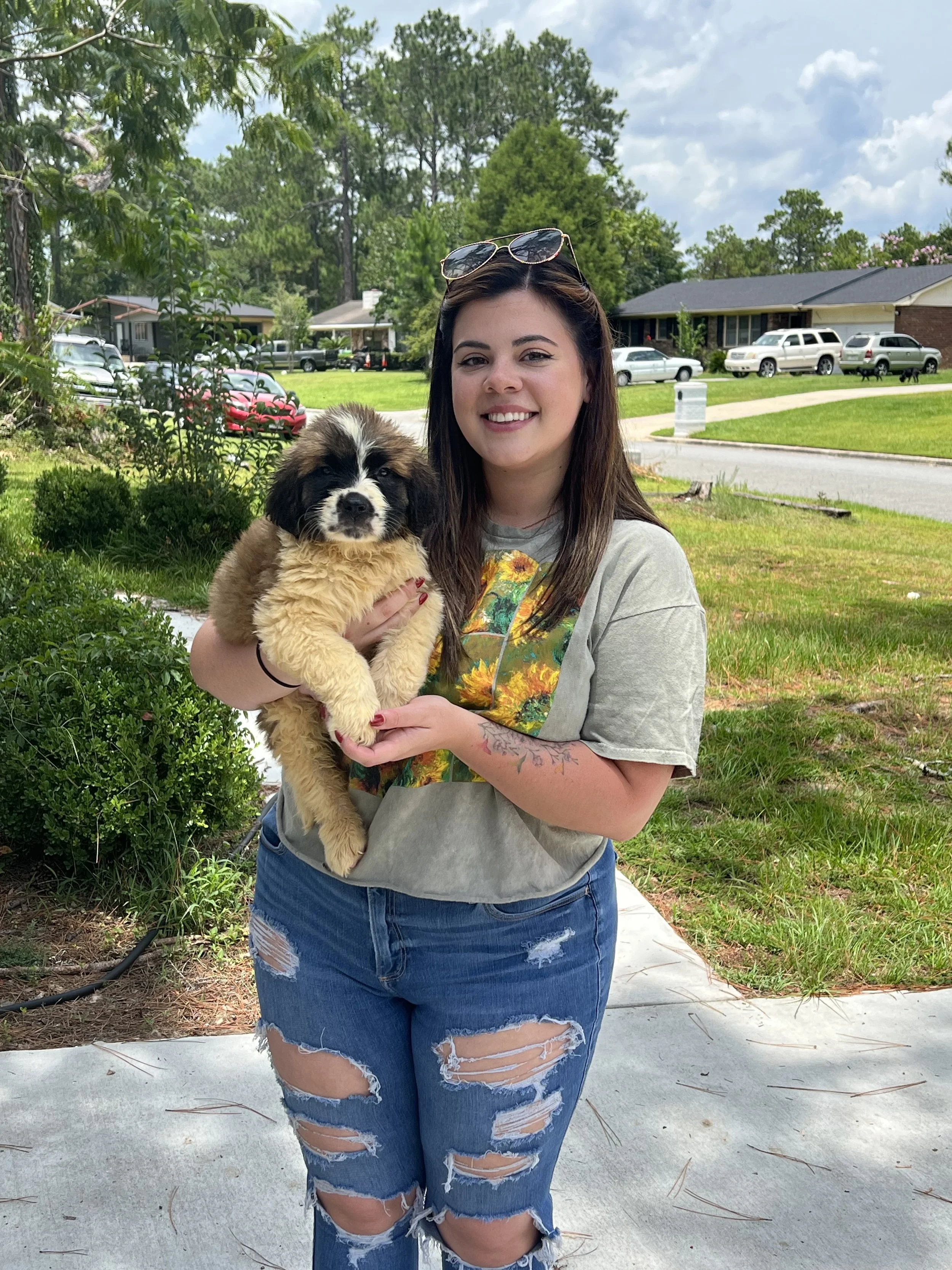 MEGA SAINTS KENNELS LLC